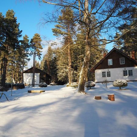 Hotel Lojzovy Paseky Frymburk nad Vltavou Exterior foto