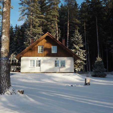 Hotel Lojzovy Paseky Frymburk nad Vltavou Exterior foto