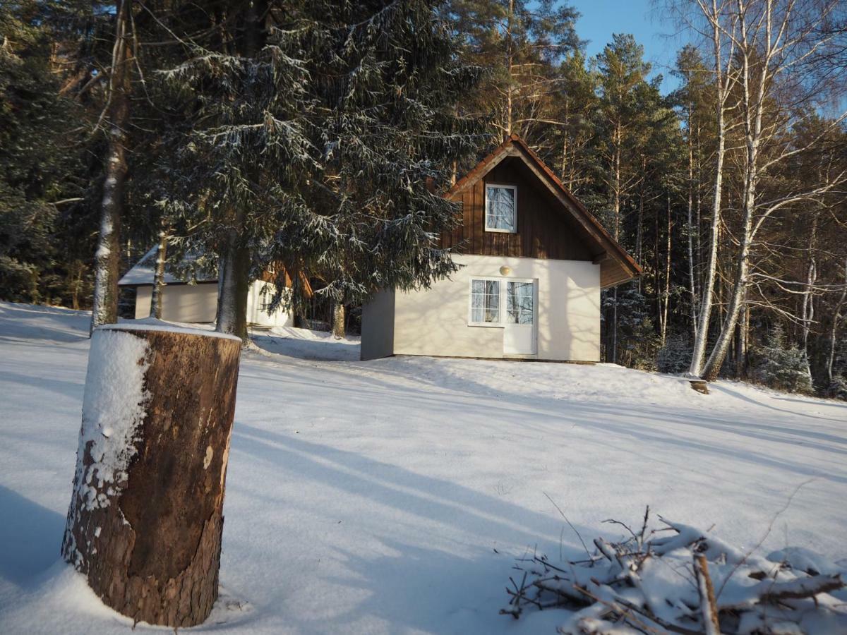 Hotel Lojzovy Paseky Frymburk nad Vltavou Exterior foto