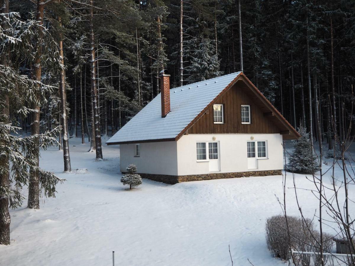 Hotel Lojzovy Paseky Frymburk nad Vltavou Exterior foto