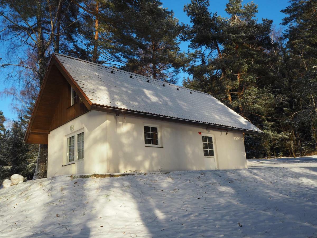 Hotel Lojzovy Paseky Frymburk nad Vltavou Exterior foto